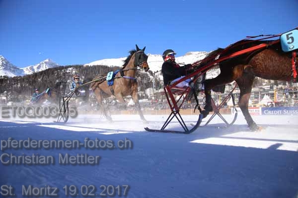 ET0Q0034.5 prot